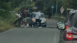 Forti raffiche di vento, alberi a terra e numerose chiamate ai vigili del fuoco
