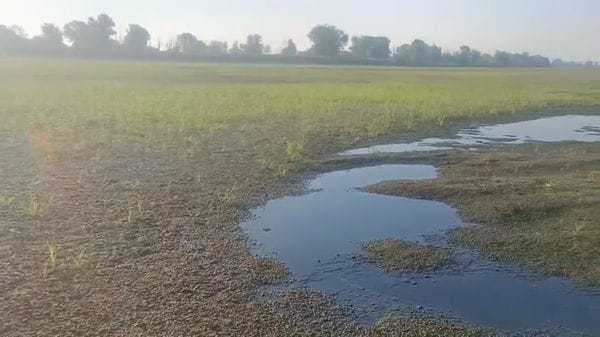 Quel che rimane del Po a Corte Sant'Andrea