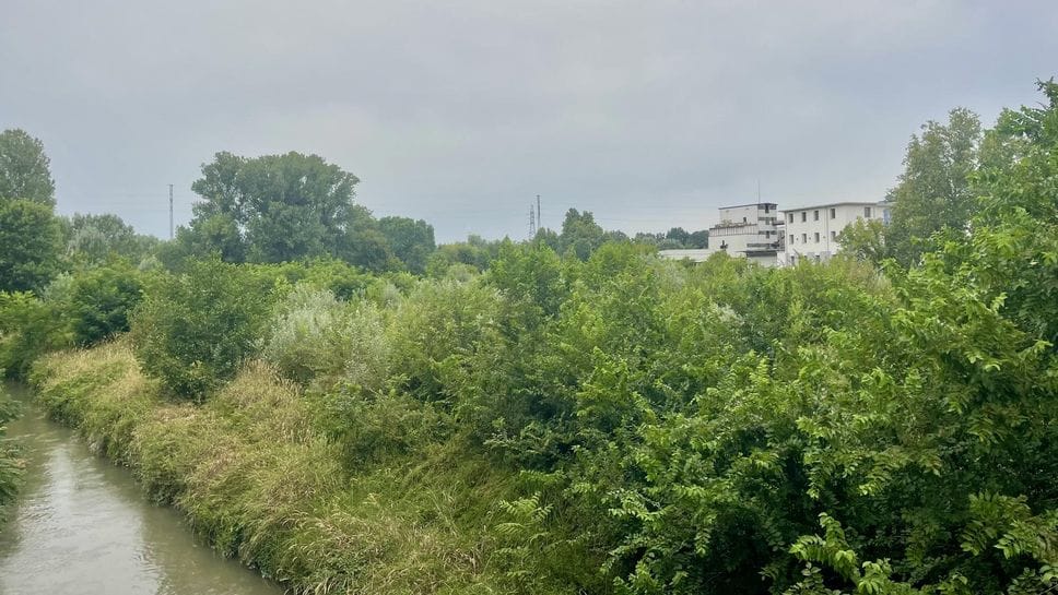 Un parco urbano nell’area dell’ex Samor: «Il privato sta portando avanti il progetto»