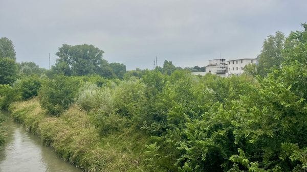 Un parco urbano nell’area dell’ex Samor: «Il privato sta portando avanti il progetto»