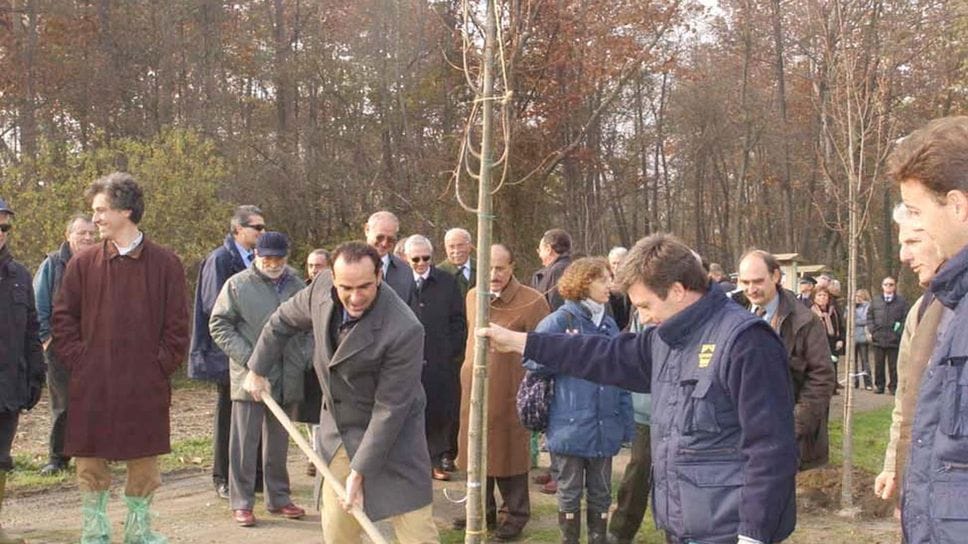 Cari sindaci, togliamo l’asfalto e mettiamo alberi