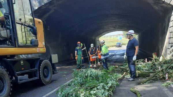 Maltempo a Codogno, la caduta delle piante blocca il sottopasso per Fombio
