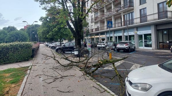 Maltempo, vertice in prefettura a Lodi per fare il punto sui danni e coordinare gli interventi