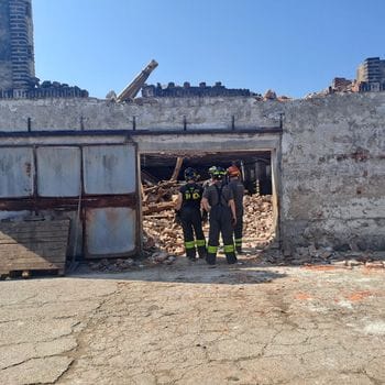 Mucche e manze muoiono sepolte nel crollo della cascina Paderno tra Massalengo e la Muzza