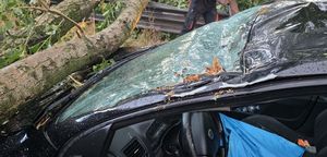 Padre e figlio schiacciati in auto