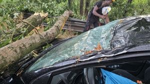 Pianta colpisce un’auto in movimento sulla Binasca, salvi per miracolo padre e figlio di 10 anni