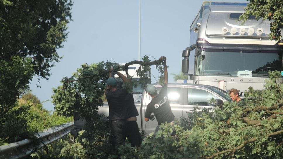 Provinciale tra Casaletto e Salerano bloccata dagli alberi, ci pensano i passanti a liberare la strada