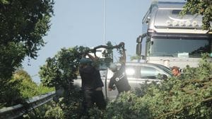 Provinciale tra Casaletto e Salerano bloccata dagli alberi, ci pensano i passanti a liberare la strada