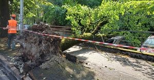 Dopo la tempesta, sforzi straordinari verso il ritorno alla normalità