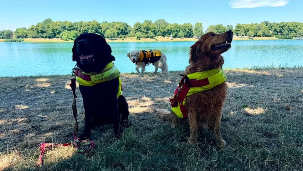 Idroscalo, brevetto di soccorso per 30 cani bagnino