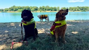 Idroscalo, brevetto di soccorso per 30 cani bagnino