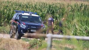 Trovata e fatta brillare una granata, non lontano dalle case: mistero a Secugnago