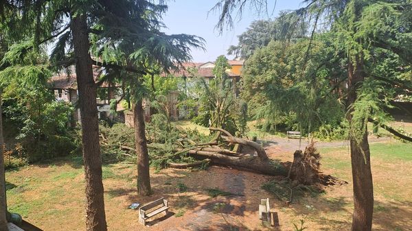 Dopo il tornado di venerdì mattina il Lodigiano si lecca le ferite