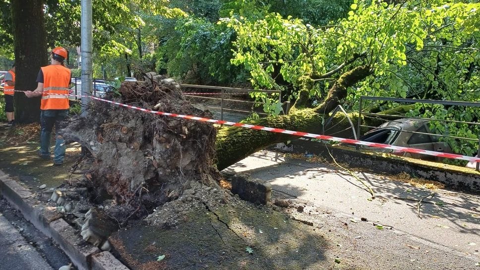 Dopo la tempesta a Lodi sforzi straordinari verso il ritorno alla normalità