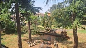 Il  Lodigiano si lecca le ferite, pesanti i danni per la tempesta di venerdì mattina