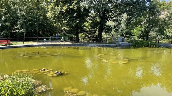 Casale: acqua stagnante e rifiuti nel laghetto delle tartarughe