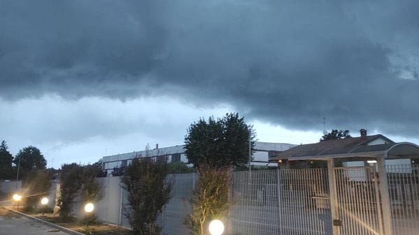 La grandinata di lunedì mattina nella Bassa: il pesante bilancio