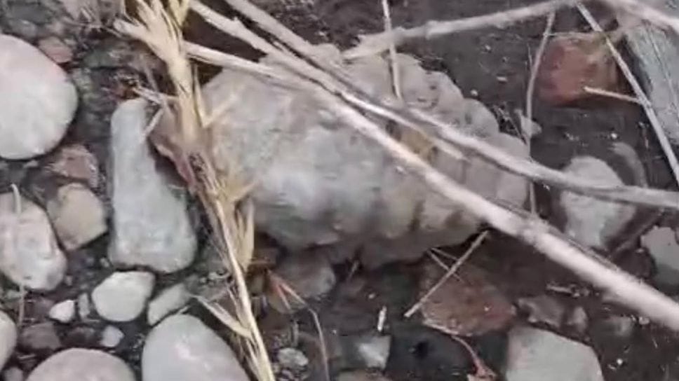 San Giuliano, trovata una granata a cascina Sesto Gallo