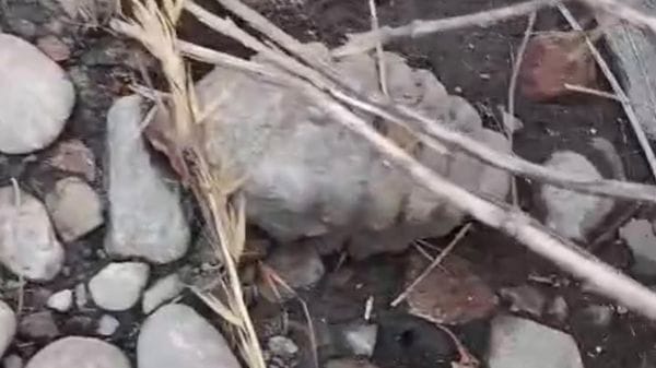 San Giuliano, trovata una granata a cascina Sesto Gallo