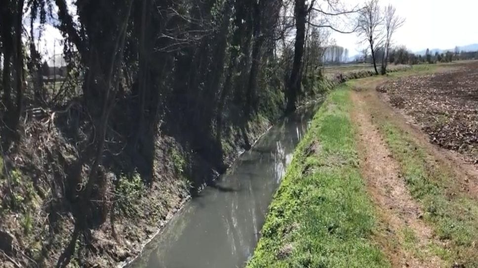 Inquinamento della roggia Colturana, in arrivo dalla Regione 50mila euro