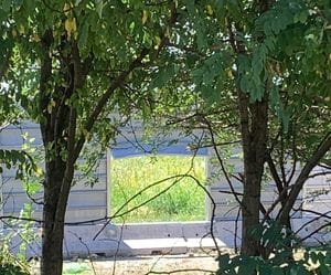 Intrusioni a San Francesco, il Comune “scrive” al Milan