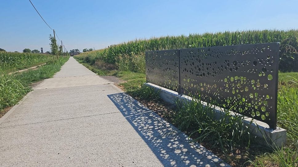 Appello: «Facciamo tornare l’amata ciclabile Turano-Basiasco un “tunnel verde”»