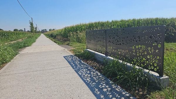 Appello: «Facciamo tornare l’amata ciclabile Turano-Basiasco un “tunnel verde”»