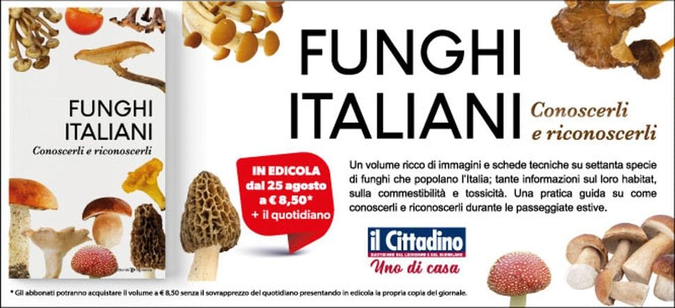 Funghi italiani