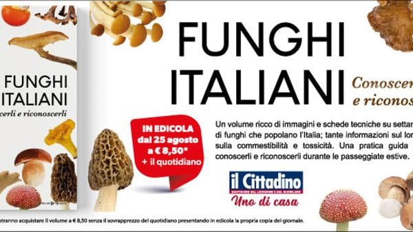Funghi italiani