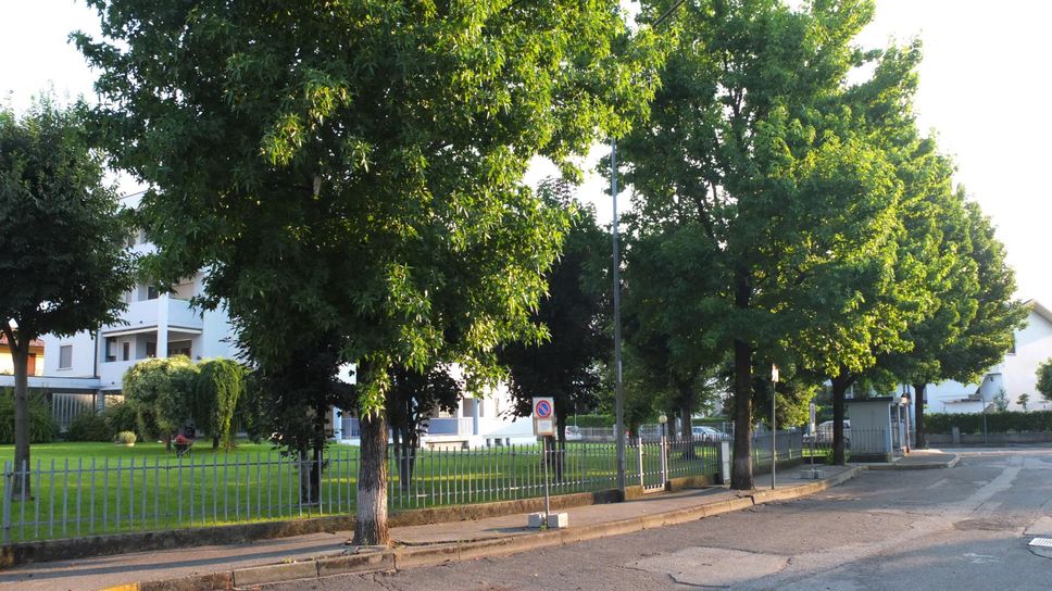 Taglio degli alberi e nidificazioni, le opposizioni tornano all’attacco