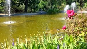 Tornano a zampillare le fontane del laghetto al parco delle Molazze