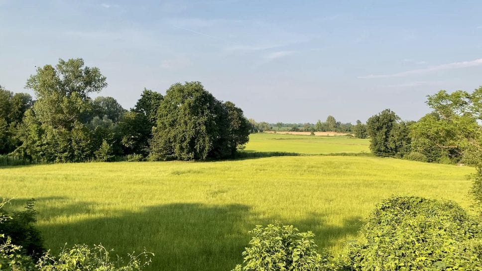 Crisi climatica e verde, approvato l’ordine del giorno della consigliera regionale Dem Roberta Vallacchi 