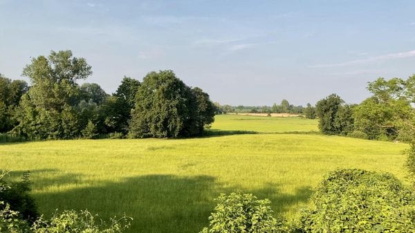 Crisi climatica e verde, approvato l’ordine del giorno della consigliera regionale Dem Roberta Vallacchi 