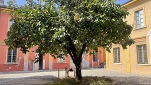 A Codogno Forza Italia assente per la seconda volta sull’ok al Pgt