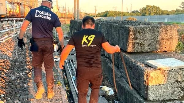 Droga e un dormitorio trovati nell’area San Francesco: controlli della polizia locale con le unità cinofile