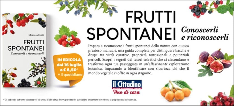 Frutti spontanei