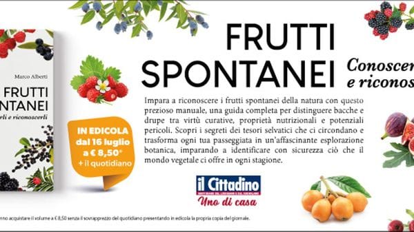 Frutti spontanei