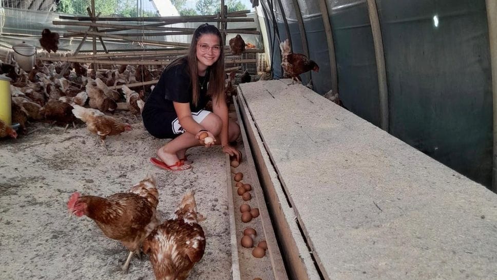 Boom delle uova, «alimento sano»