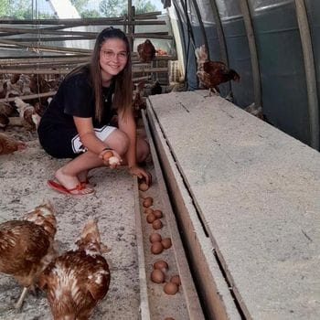 Boom delle uova, «alimento sano»