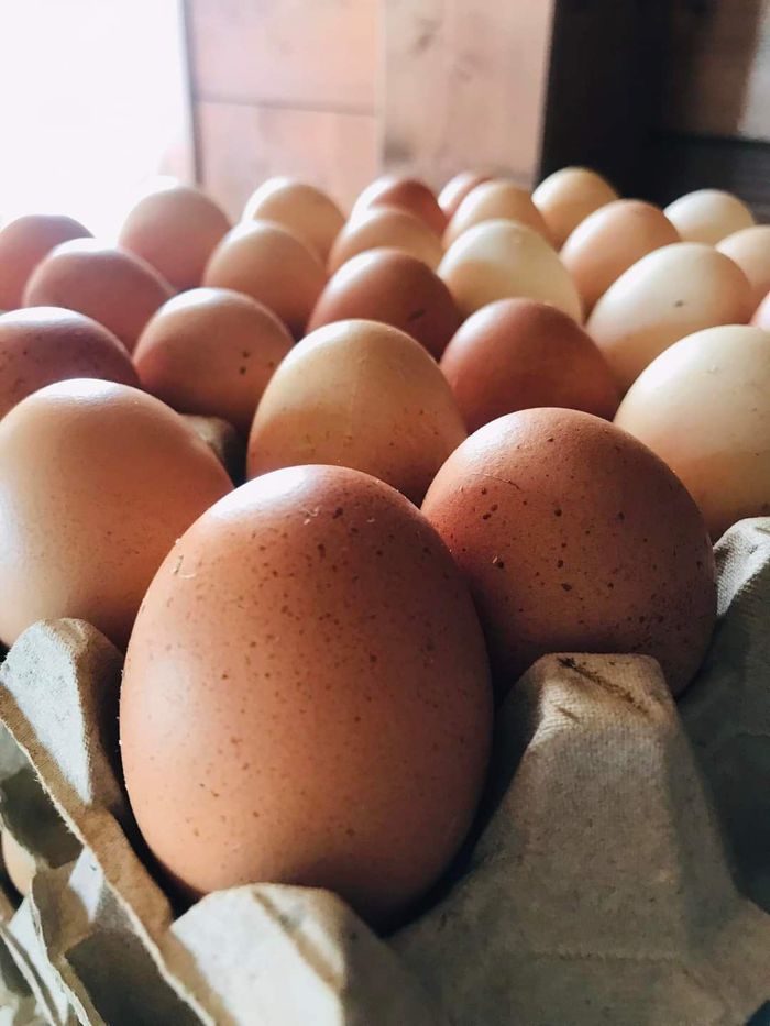 Boom delle uova, «alimento sano»