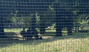 Un vigilantes all’Eurospin, ma criticità legate al parco