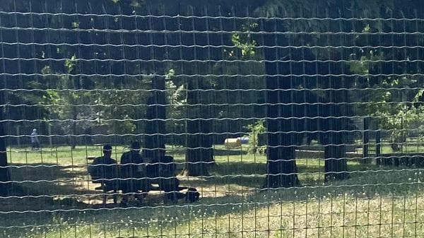 Lodi, vigilantes all’Europsin per la sicurezza