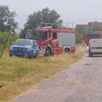 Incendi dolosi in collina a San Colombano: «Gesto vigliacco da condannare»