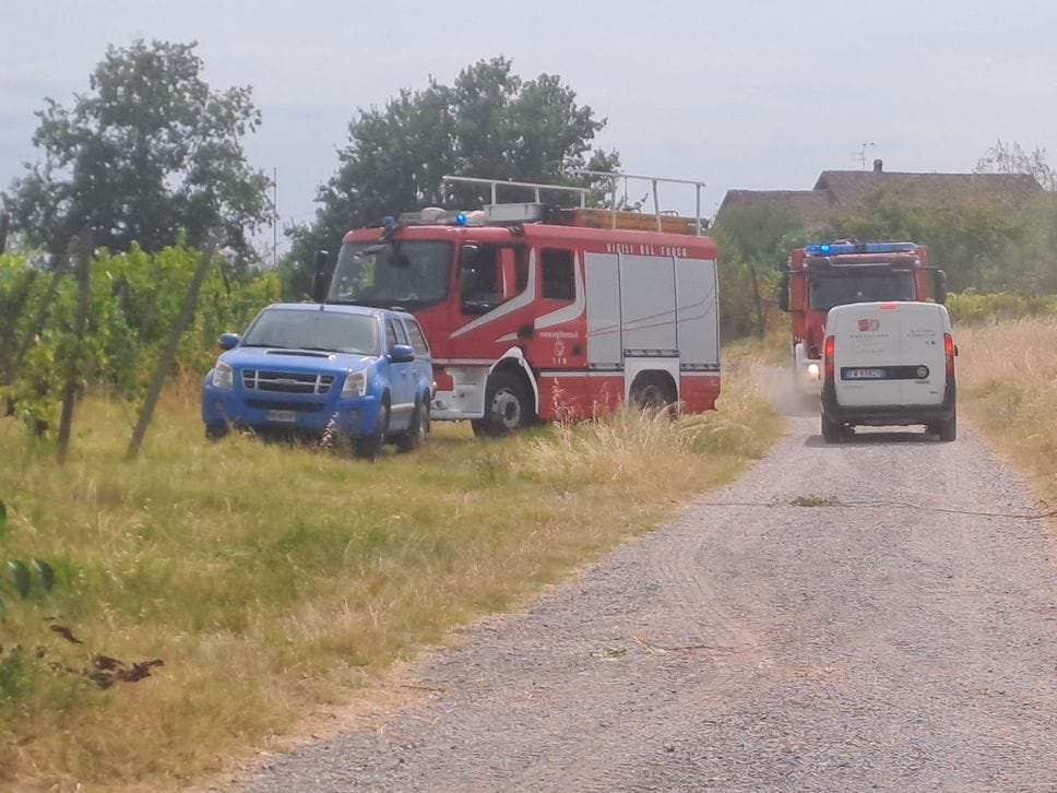 Incendi dolosi in collina a San Colombano: «Gesto vigliacco da condannare»