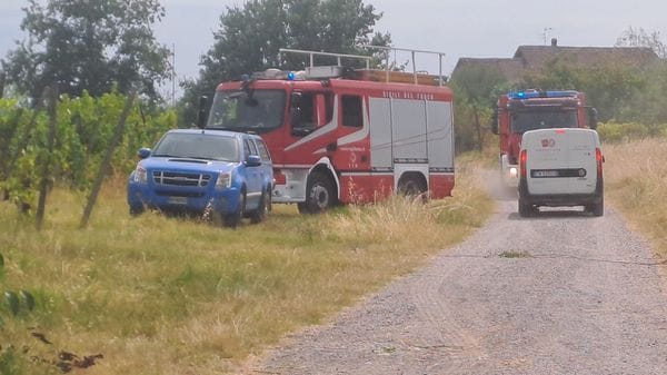 Incendi dolosi in collina a San Colombano: «Gesto vigliacco da condannare»