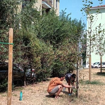 Alle Fanfani una famiglia “salva-piante”: da un mese si occupa dell’aiuola sotto casa