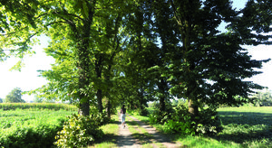 Greenway al Pulignano, ritirati i ricorsi dei proprietari