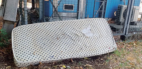 Incendiata una siepe sulla via Emilia, vicino alle auto e alla cabina elettrica