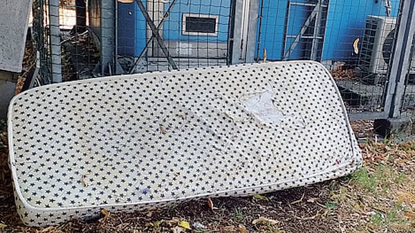 Incendiata una siepe sulla via Emilia, vicino alle auto e alla cabina elettrica