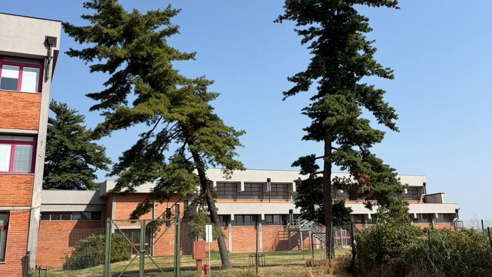 Alberi pericolanti, chiude il centro sportivo a Melegnano